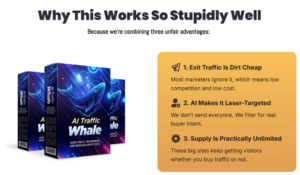 AI Traffic Whale: Buy Real Buyer Traffic on Demand