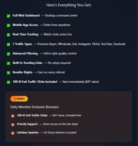 Painless Traffic Review: AI Traffic in Seconds