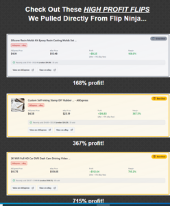 Flip Ninja: AI Finds Daily Profit Flips 