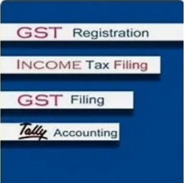 Accounting, GST and income tax consultancy services from SOFTLY DIGITAL